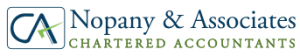 Nopany-Logo